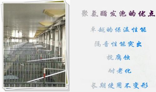 青島鑫牧畜牧設(shè)備強(qiáng)勢(shì)助力東北長(zhǎng)春畜牧展