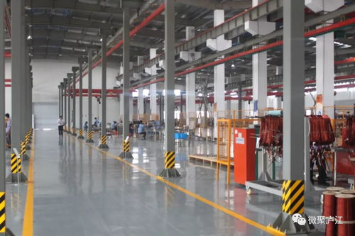 七年化繭成蝶 廬江這家公司闖出創(chuàng)新路,產(chǎn)品出口30多國(guó)家